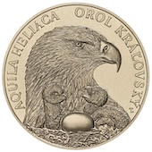 articolo